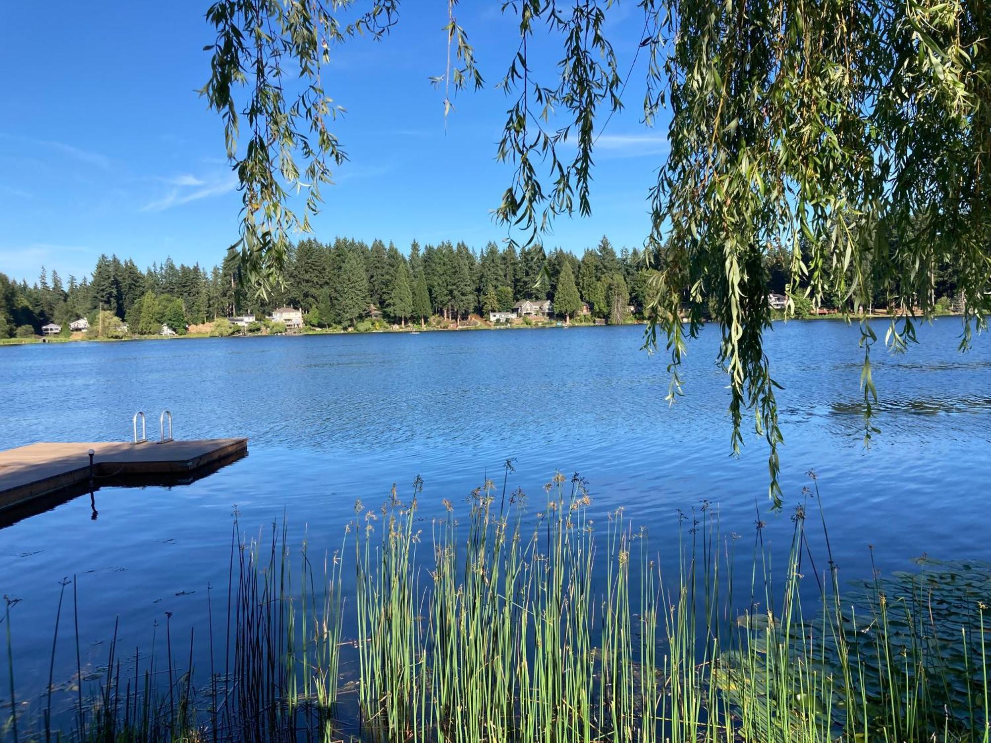 Cottage Lake Bed And Breakfast 伍丁维尔 外观 照片